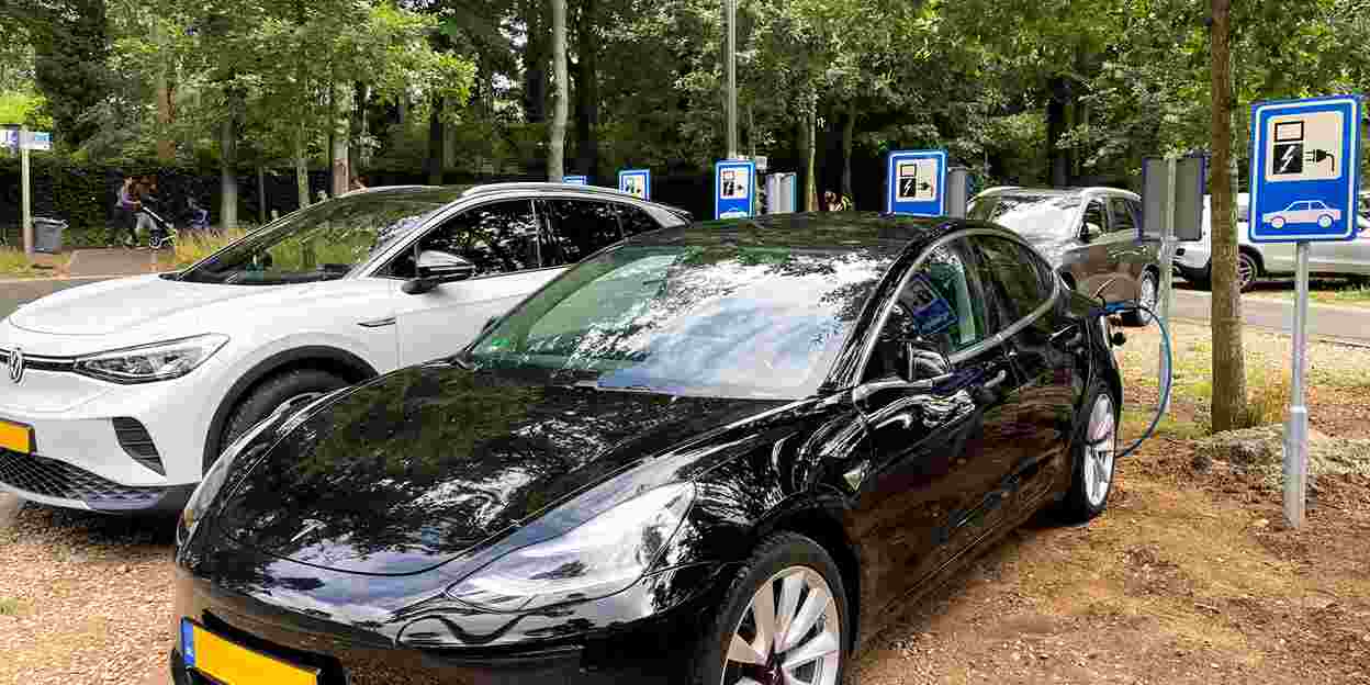 Burgers' Zoo installs 12 charging stations for 24 electric vehicles